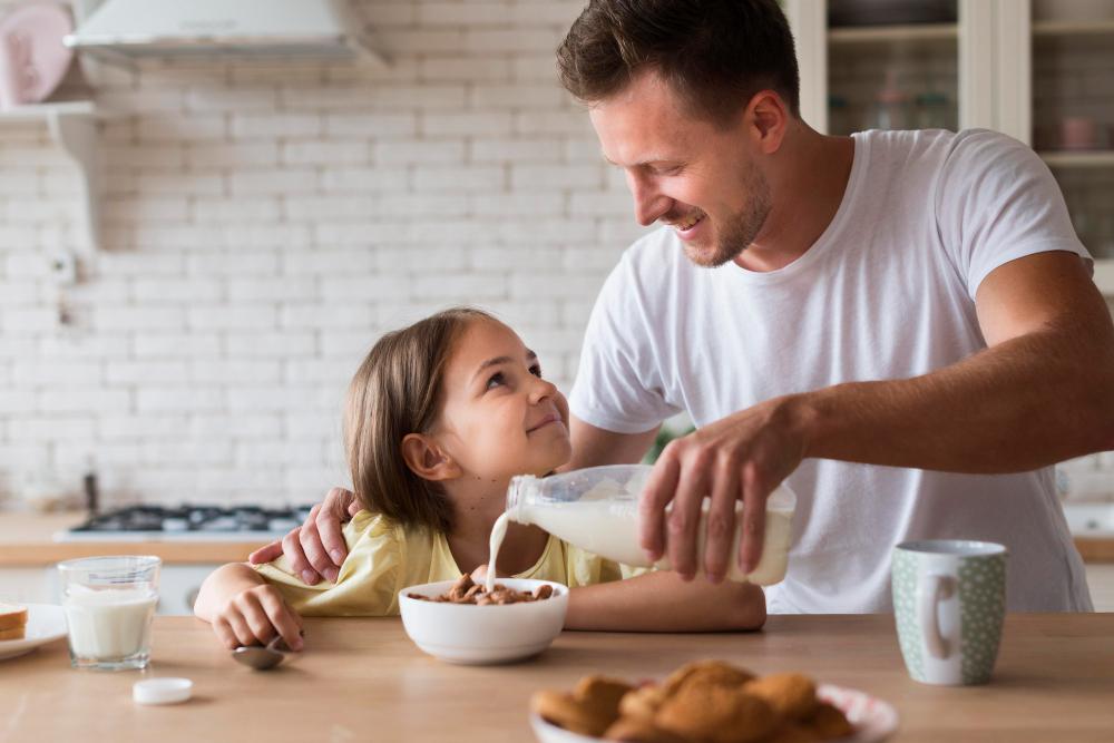 A Obrigatoriedade Legal do Advogado no Processo de Alimentos